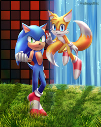 Size: 1280x1610 | Tagged: safe, artist:hydrogothic, miles "tails" prower, sonic the hedgehog, fox, hedgehog, sonic the hedgehog 2, 2022, classic sonic (universe), clenched fist, daytime, duo, emerald hill, flying, grass, looking at viewer, male, mid-air, orange brown checkerboard, outdoors, smile, spinning tails, standing, v sign, water, waterfall